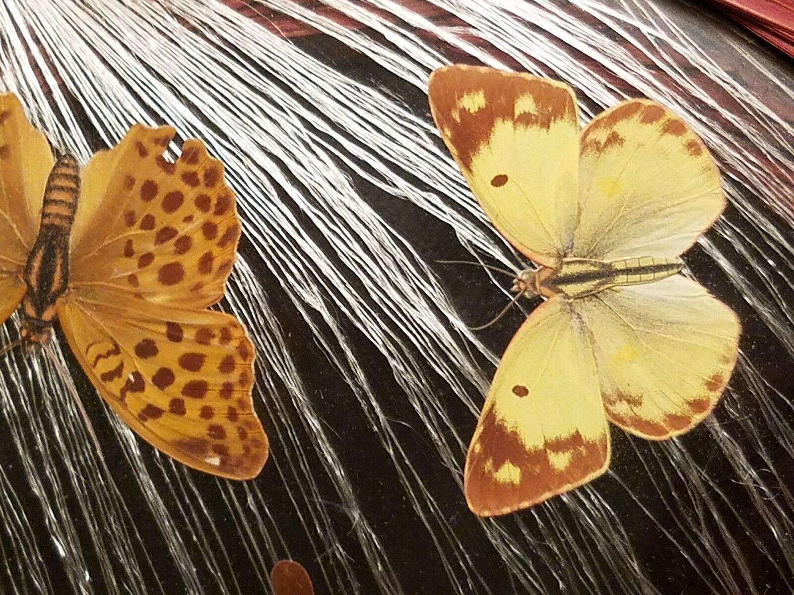 Handmade Glass 1800’s Antique Tray & Two Coasters ~ Real Butterflies