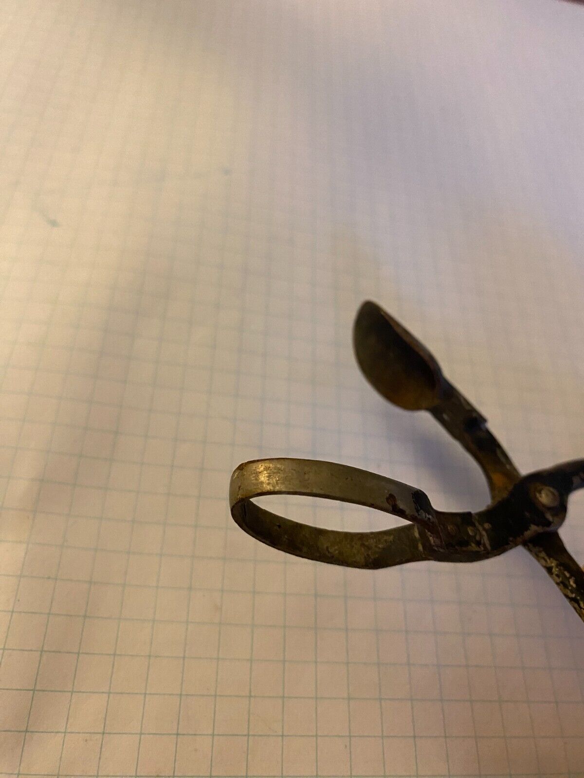 ANTIQUE CIRCA 1900'S PINEAPPLE EYE REMOVER / CUTTER PEELER