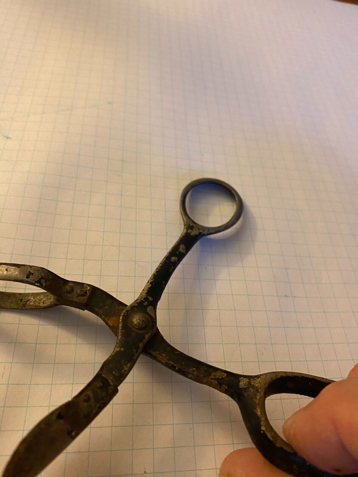 ANTIQUE CIRCA 1900'S PINEAPPLE EYE REMOVER / CUTTER PEELER