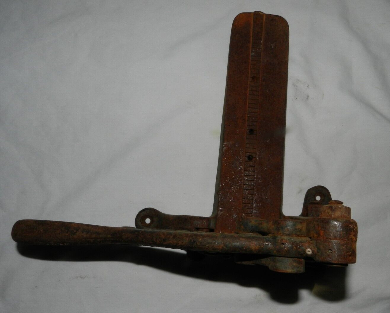 1900's Golden Co.  Cast Iron Hand Cutter Crusty Barn find