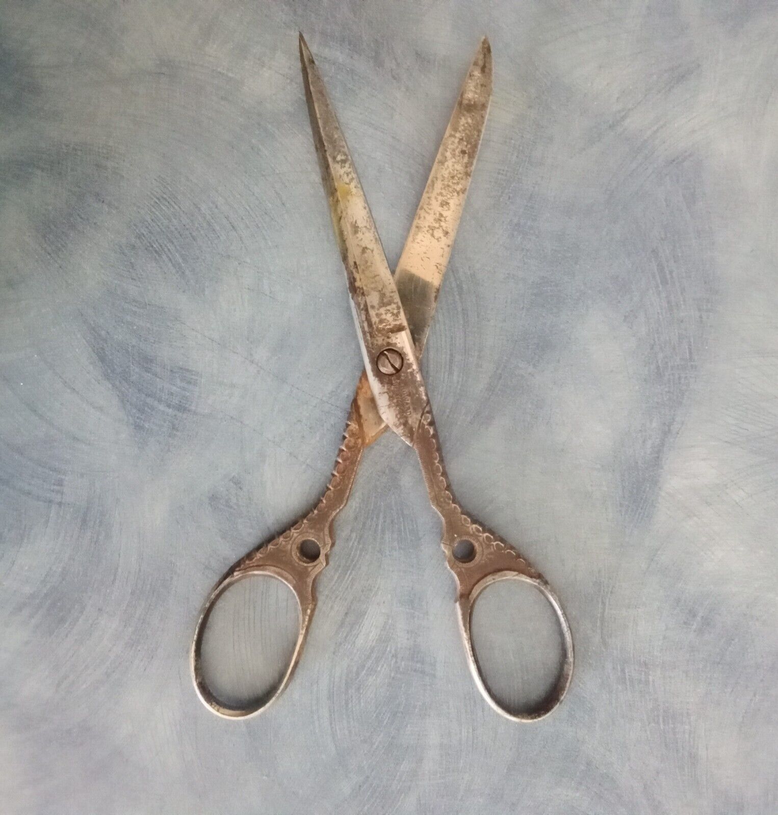 1800's Antique engraved Scissors - finely detailed by Howard Cutlery Co. Germany