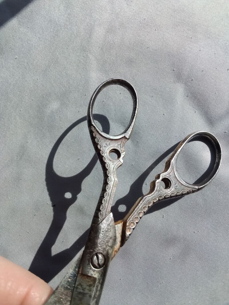1800's Antique engraved Scissors - finely detailed by Howard Cutlery Co. Germany