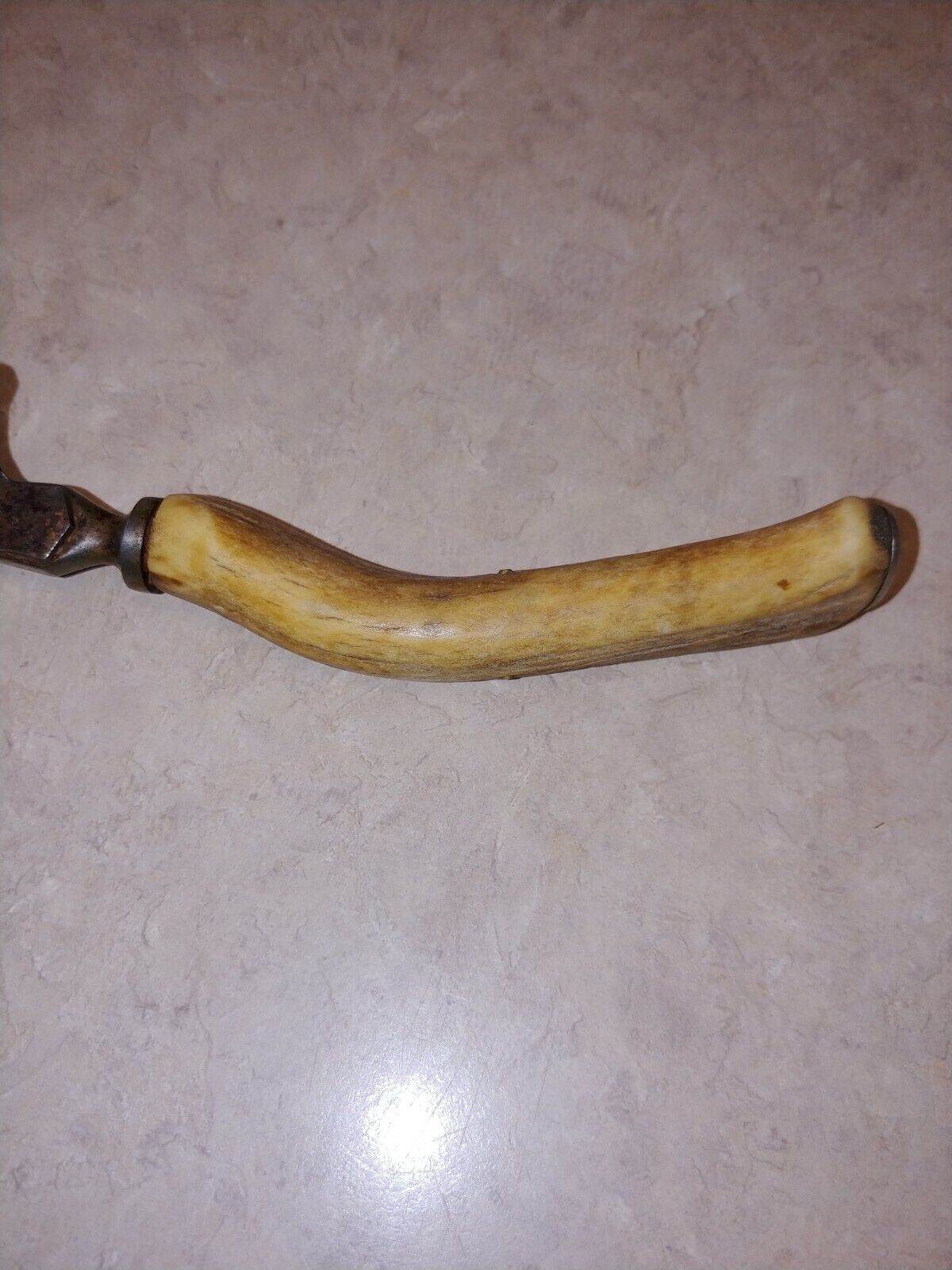 Vintage 1800's Steel carving 10 in Fork with Stag Horn antler Handle cutlery 