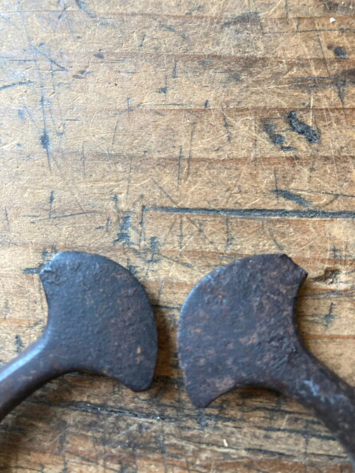 Rare! Antique 18th C Wrought Iron Decorative Sugar Cutter Primitive Kitchen