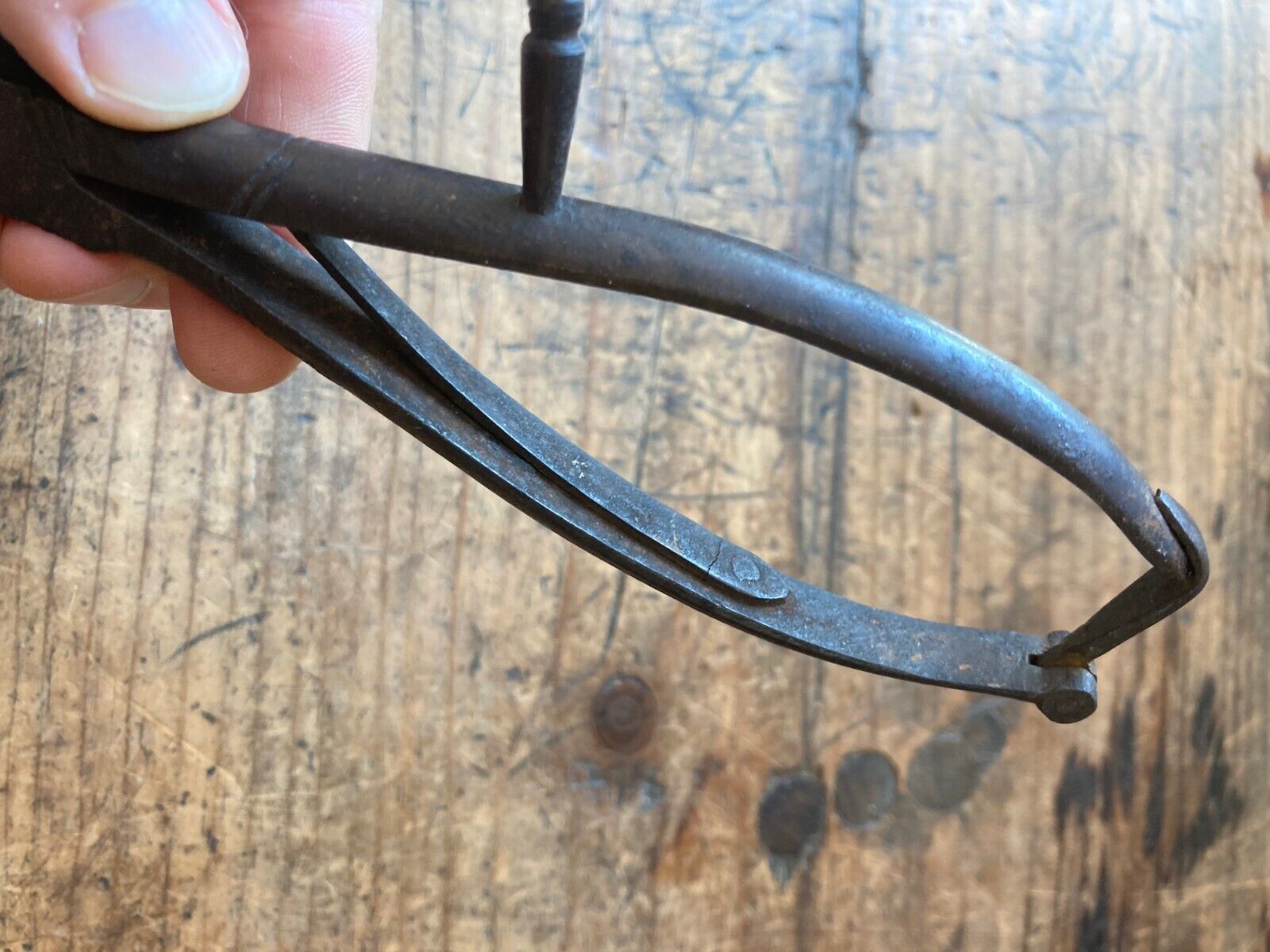 Rare! Antique 18th C Wrought Iron Decorative Sugar Cutter Primitive Kitchen