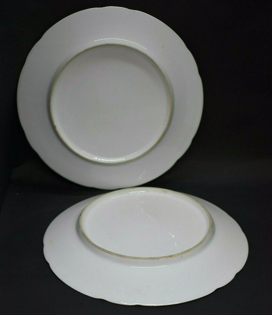 Carl Tielsch Porcelain Deer Plates Pair Buck Stag Blue Rim Late 1800's