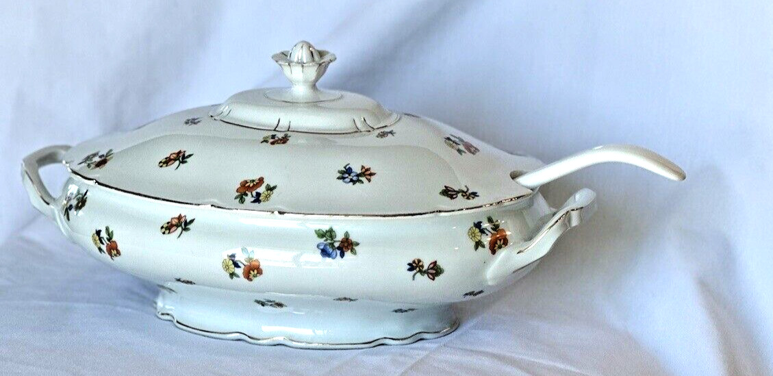 Antique Porcelain Transferware Tureen with ladle, C. 1900's Oval Casserole Dish