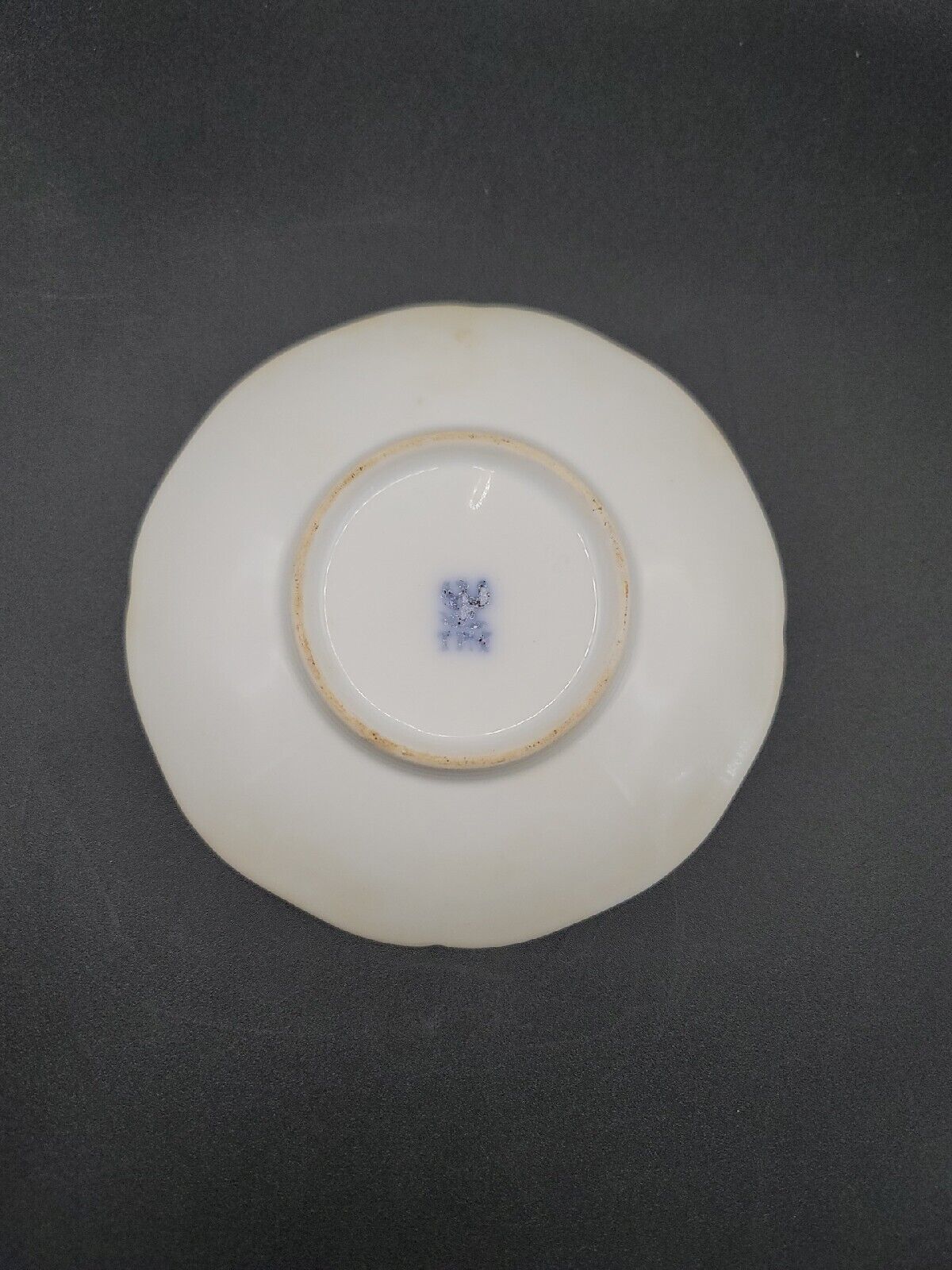 TPM Carl Tietsch Tea Cup Saucer ANTIQUE Mid-1800s Hand Painted