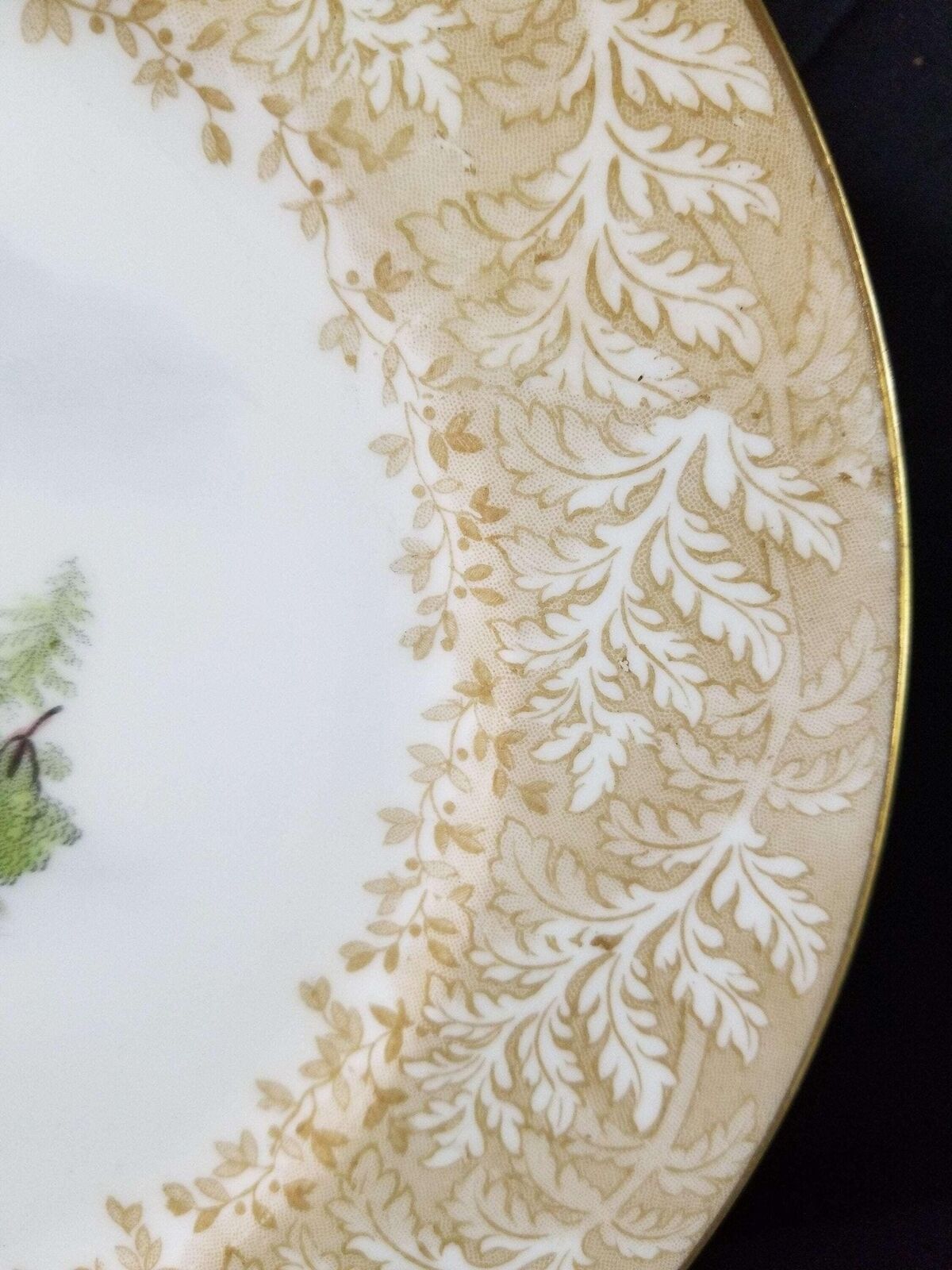 Cauldon Plate Set Lake Cabin with Fern Border c.1900 9" (6)