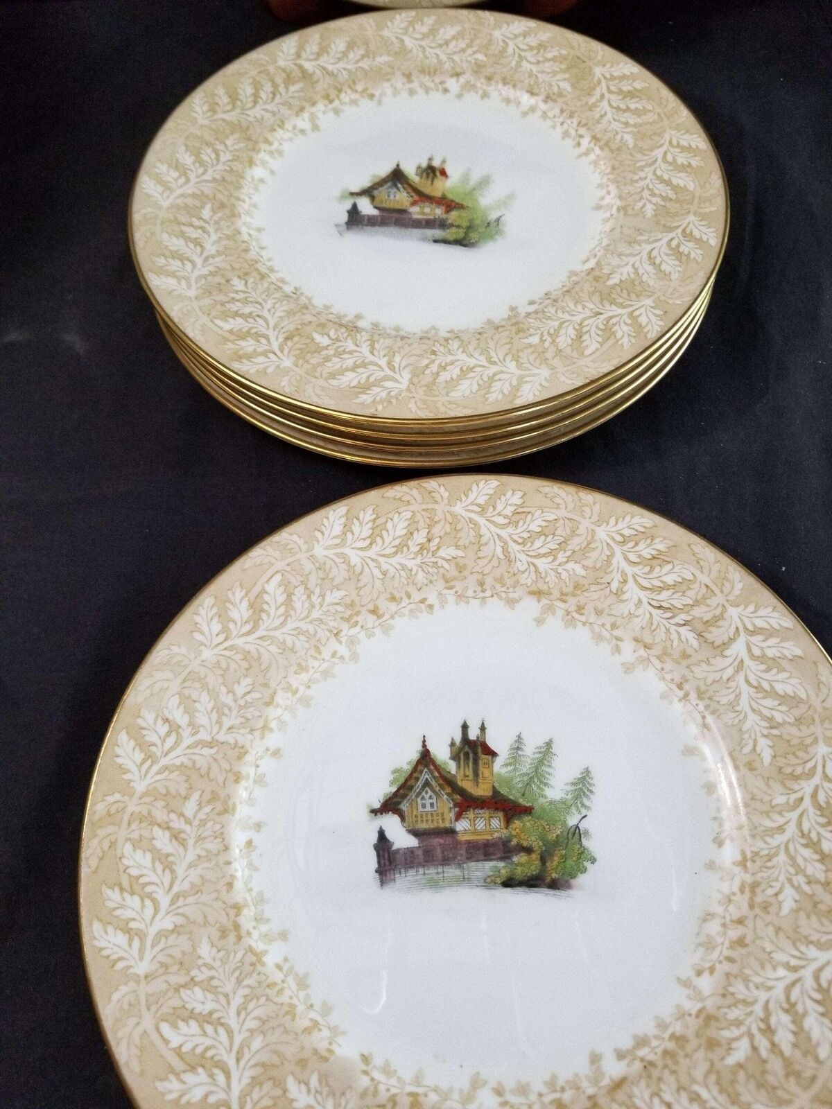Cauldon Plate Set Lake Cabin with Fern Border c.1900 9" (6)