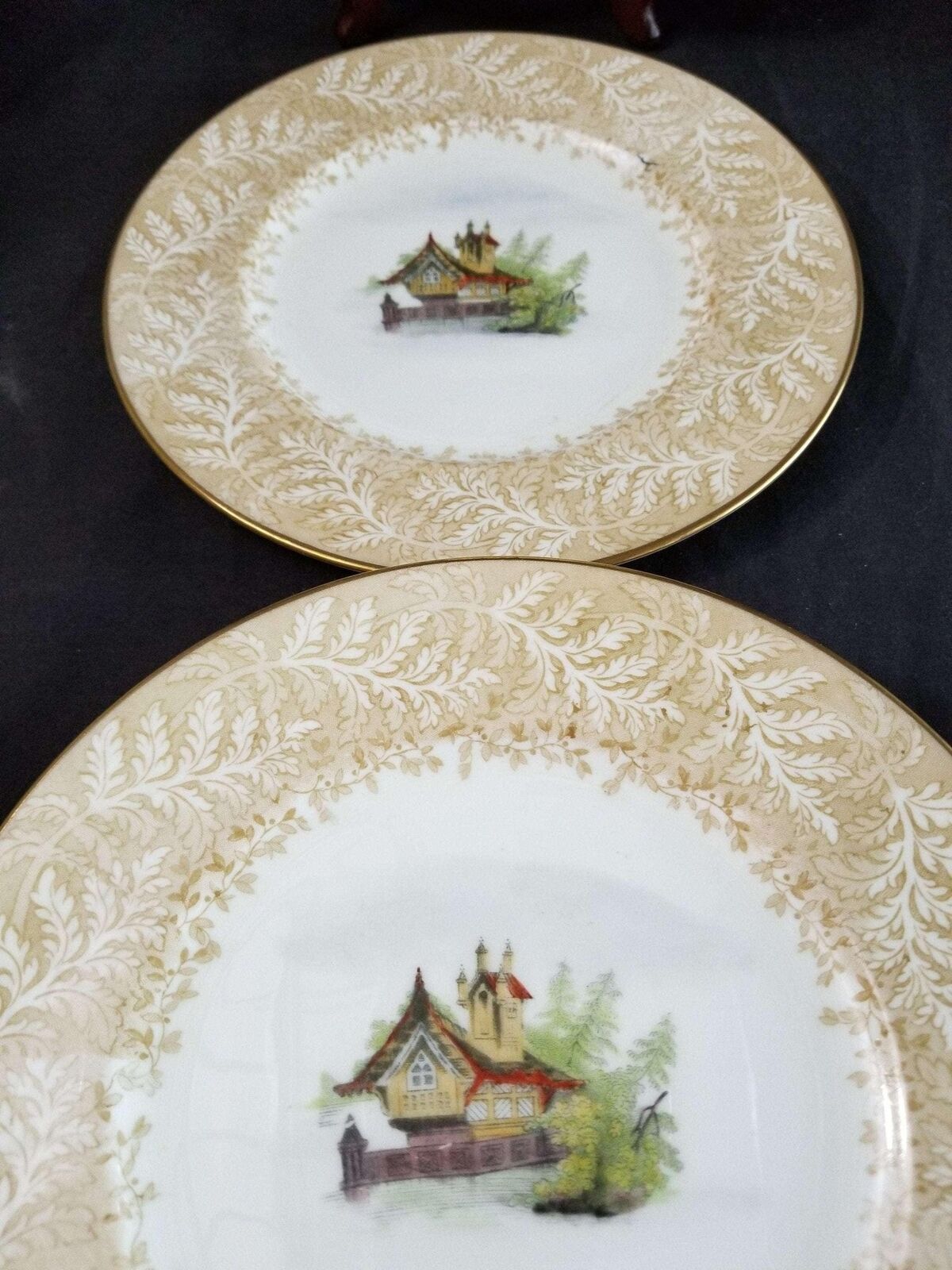 Cauldon Plate Set Lake Cabin with Fern Border c.1900 9" (6)