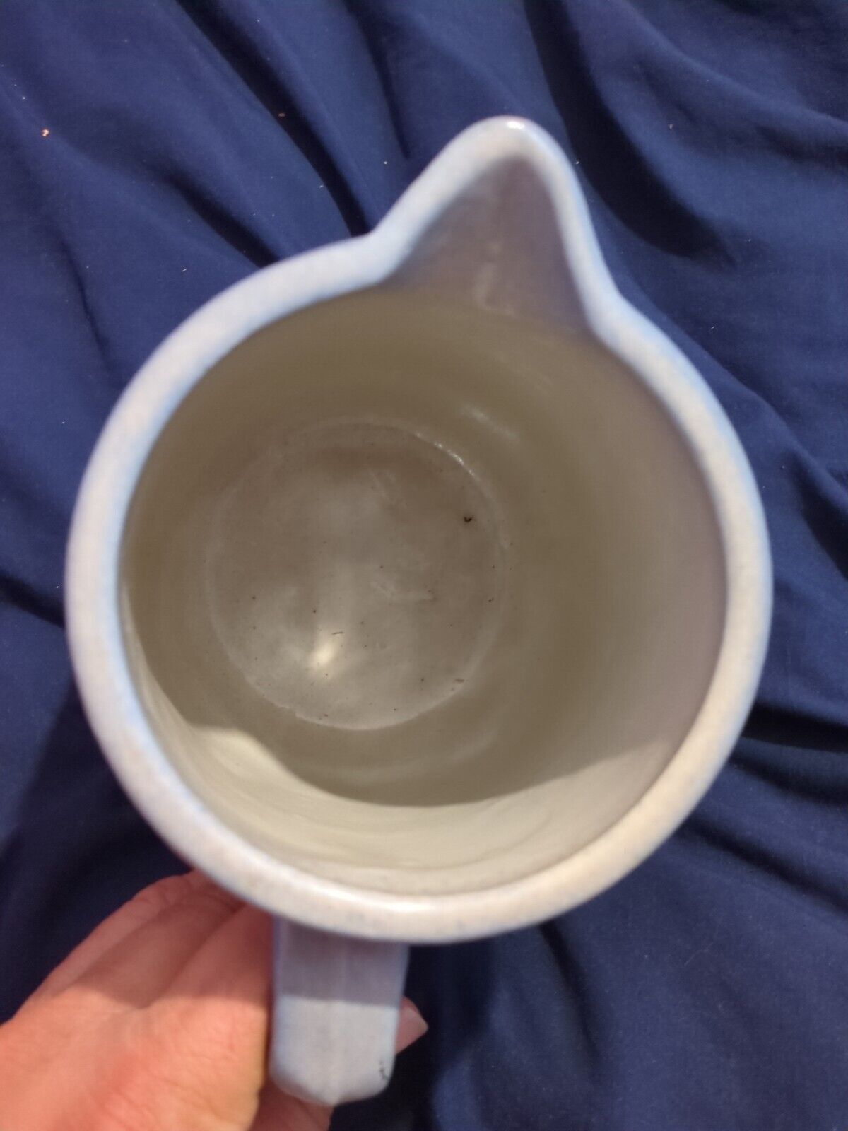 Antique stoneware pitcher Blue White Cattails Dragonflies Crock Farm House 1800s
