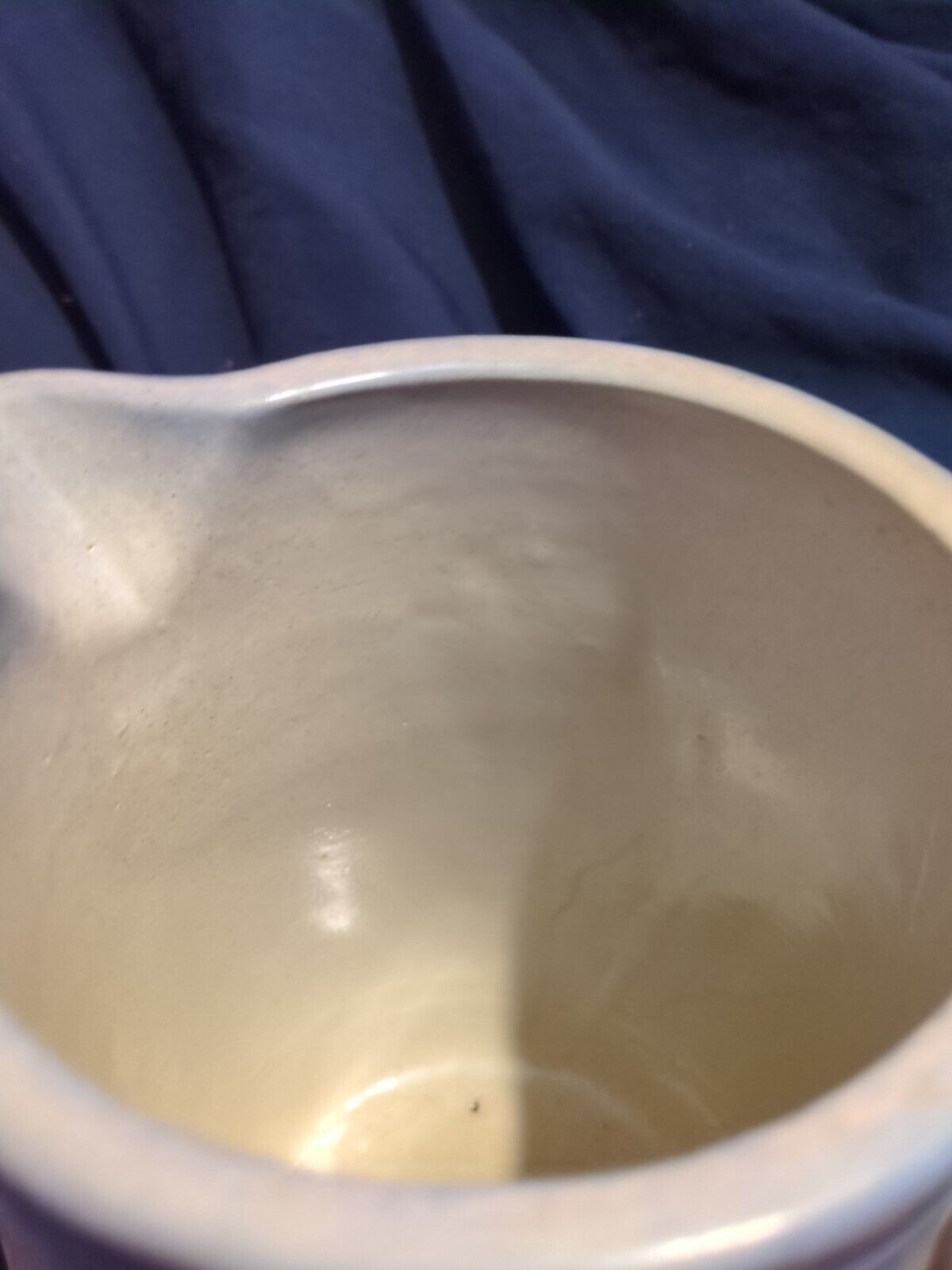 Antique stoneware pitcher Blue White Cattails Dragonflies Crock Farm House 1800s