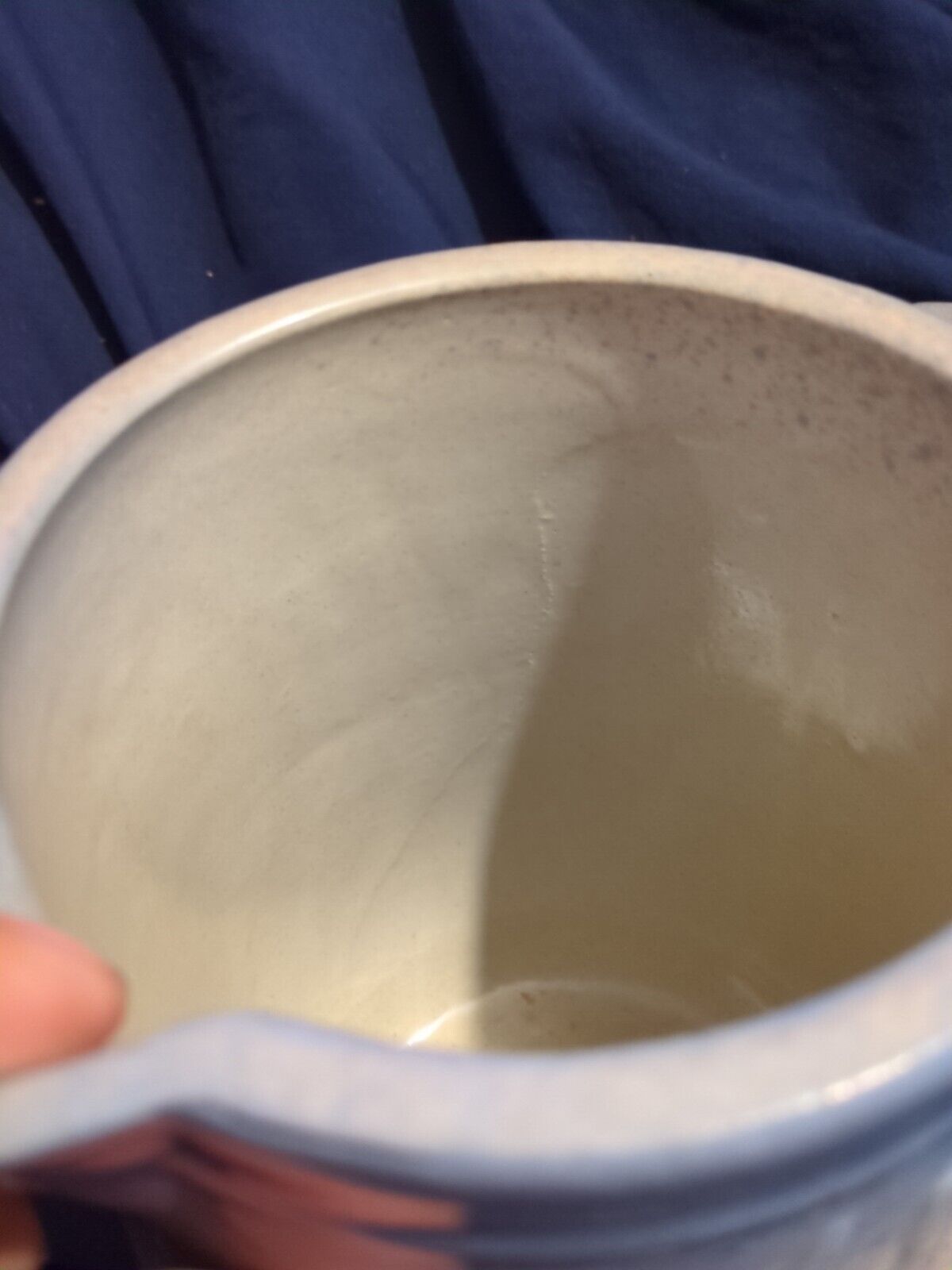 Antique stoneware pitcher Blue White Cattails Dragonflies Crock Farm House 1800s