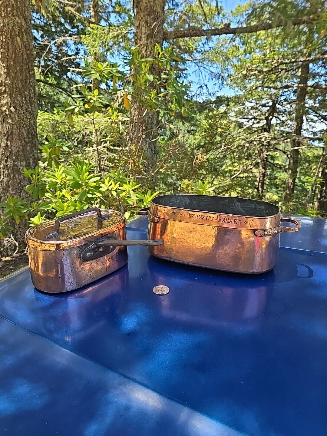 1800s Handmade Copper French Roasting Pan☆Old Burgundy France Rôtissoire◇FishPan
