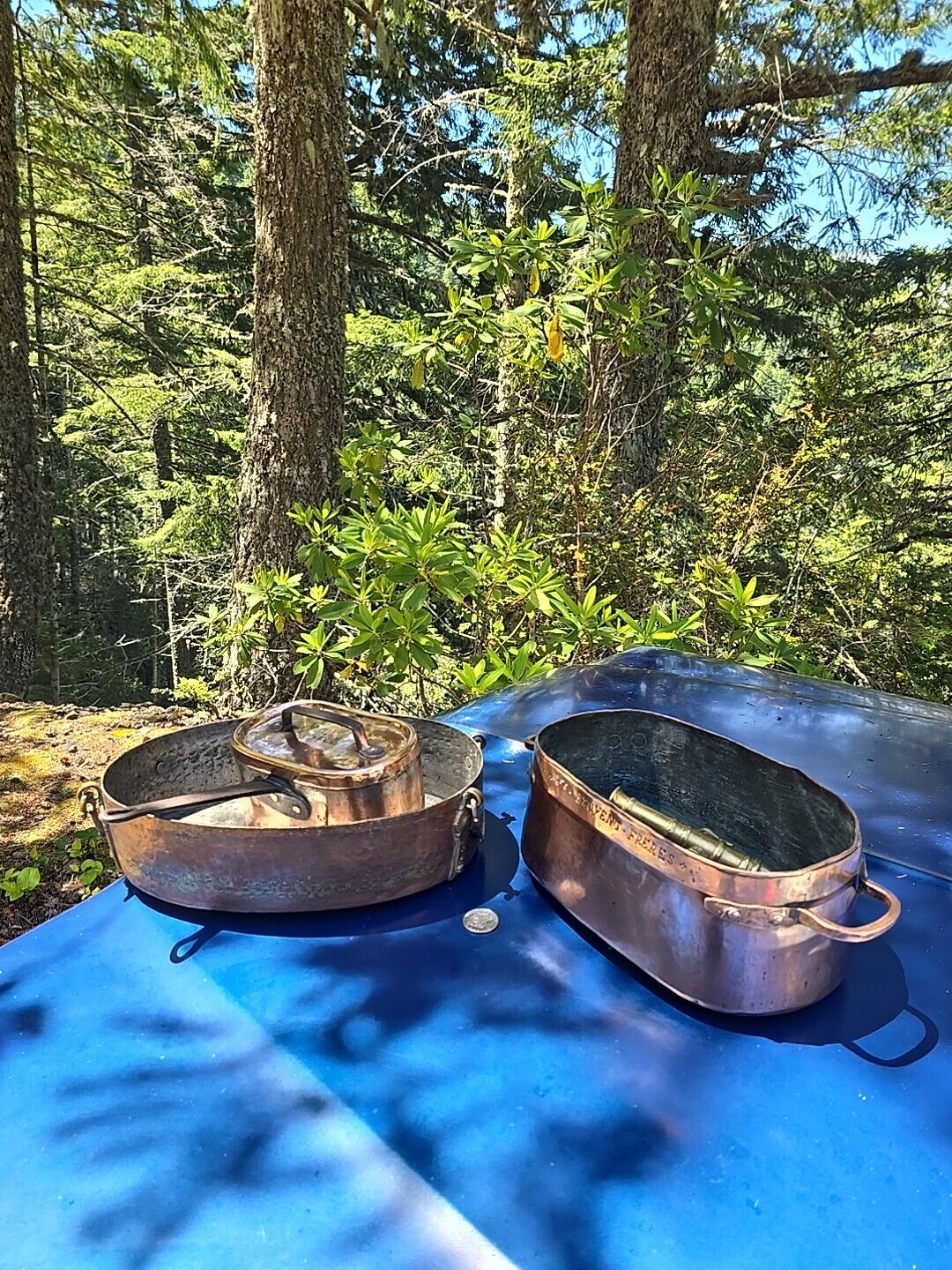 1800s Handmade Copper French Roasting Pan☆Old Burgundy France Rôtissoire◇FishPan