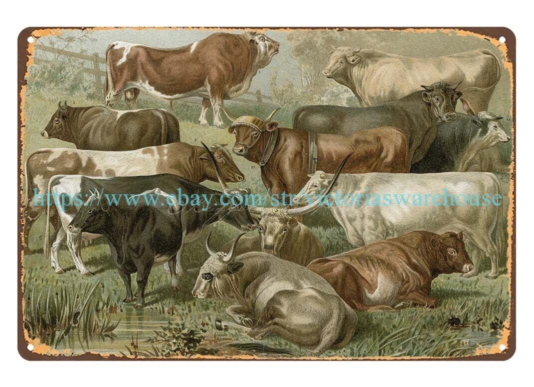 1800s Cows Bulls Calves Dairy Herd art metal tin sign bedroom wall decor
