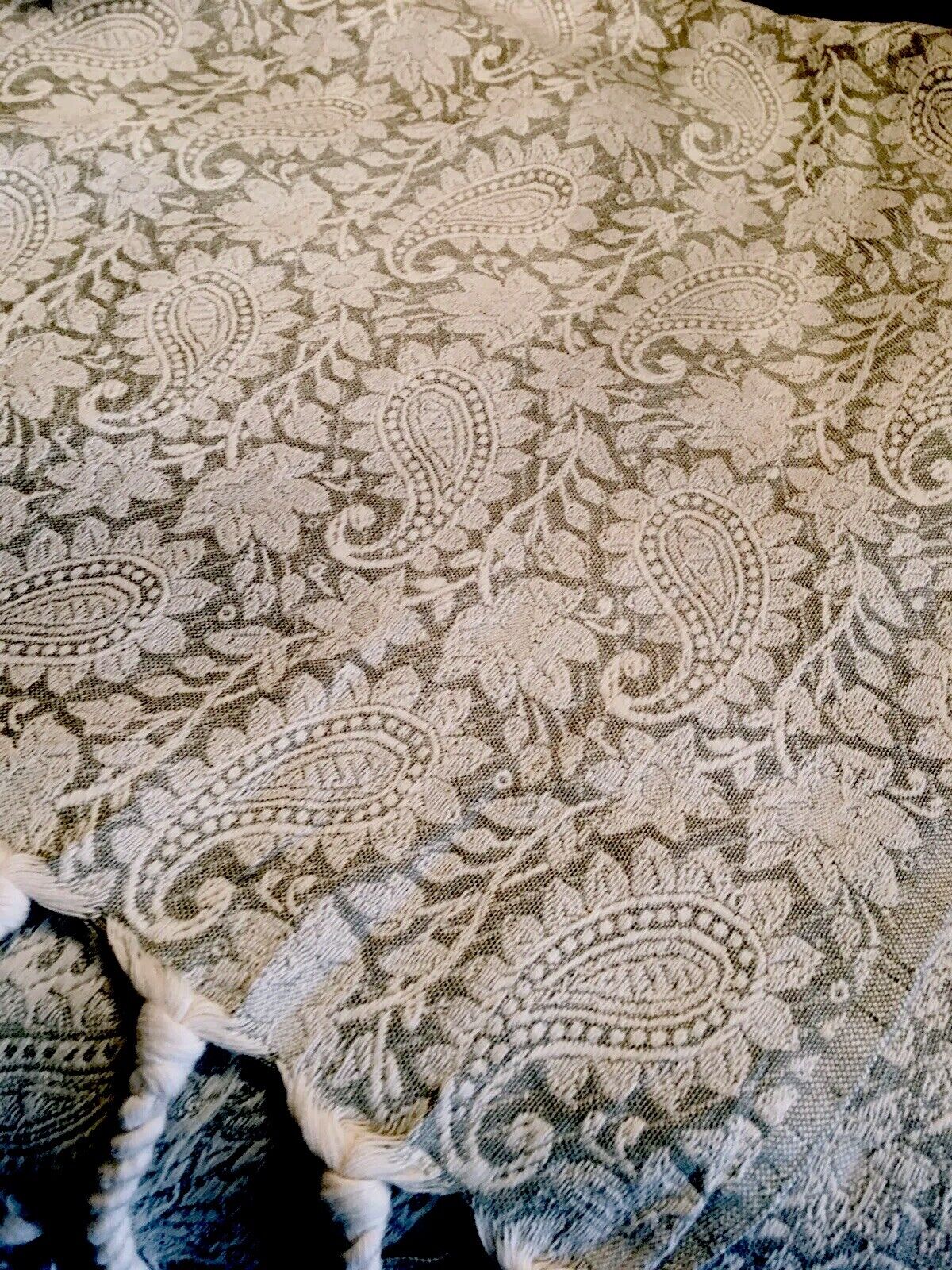 Pale Green Antique Paisley Fringe Shawl Tapestry