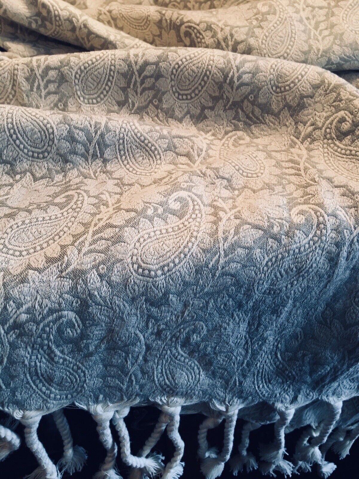 Pale Green Antique Paisley Fringe Shawl Tapestry