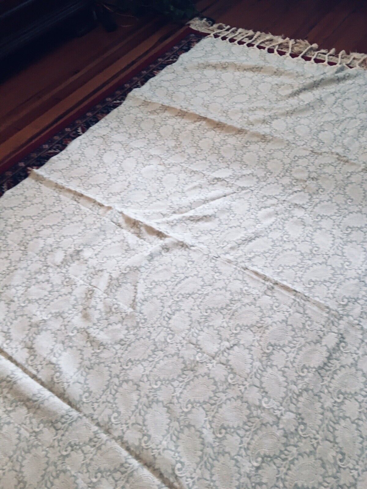 Pale Green Antique Paisley Fringe Shawl Tapestry