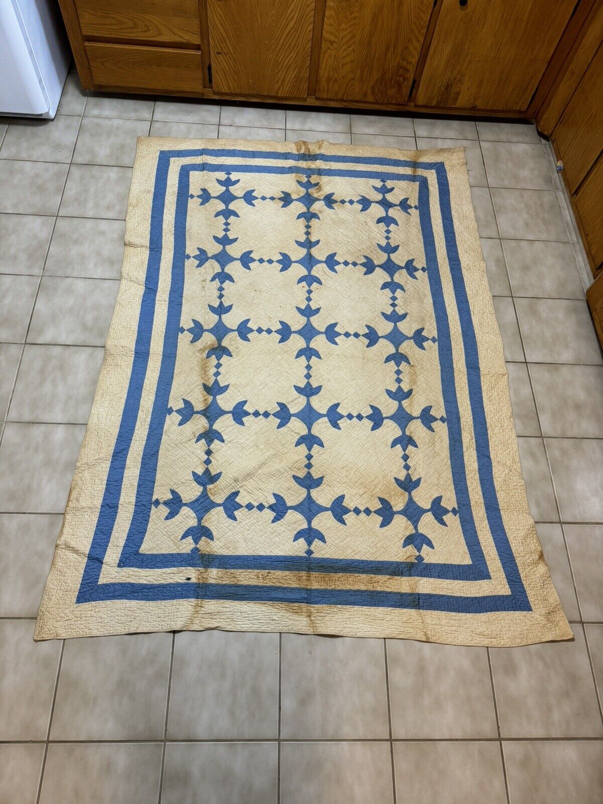 Antique Tulip Quilt by Mrs. AB Ewers