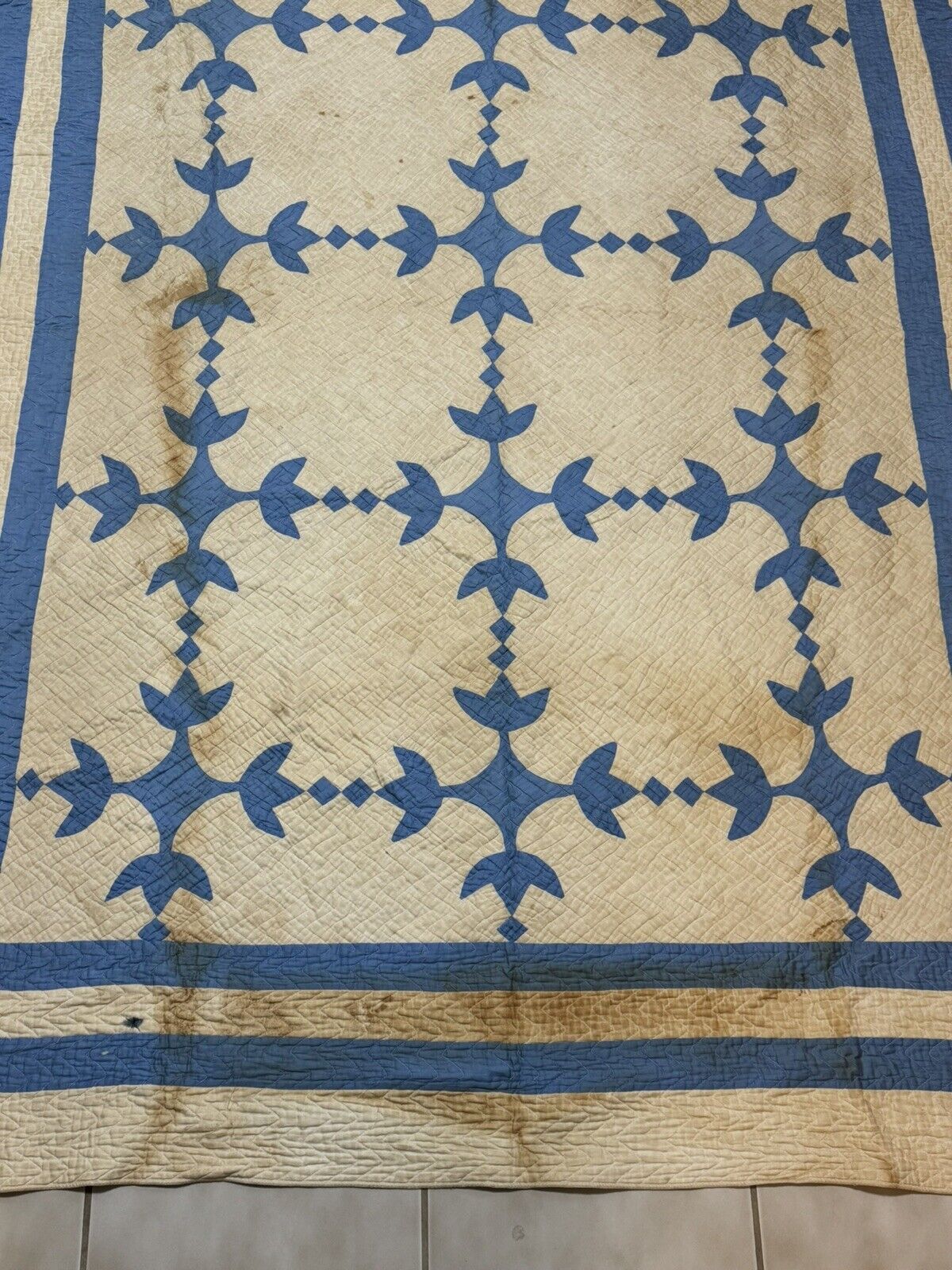 Antique Tulip Quilt by Mrs. AB Ewers