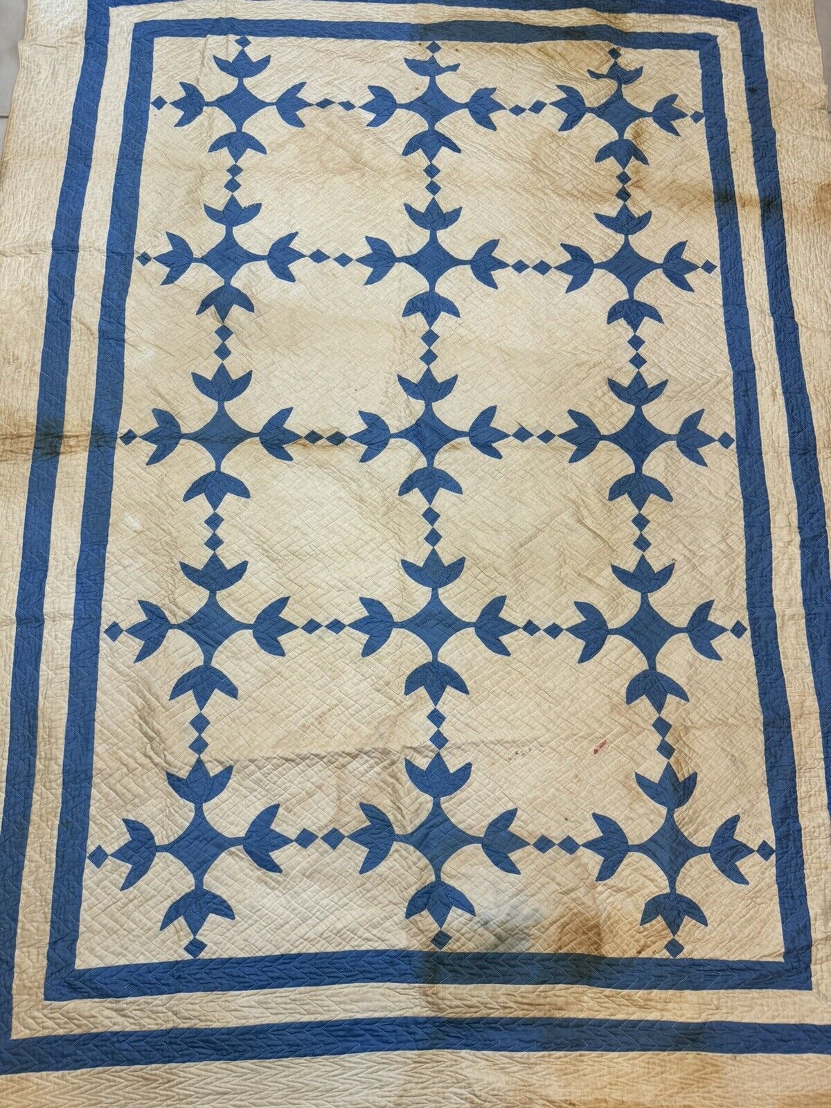 Antique Tulip Quilt by Mrs. AB Ewers