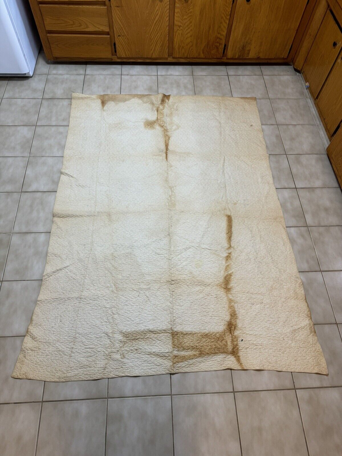 Antique Tulip Quilt by Mrs. AB Ewers
