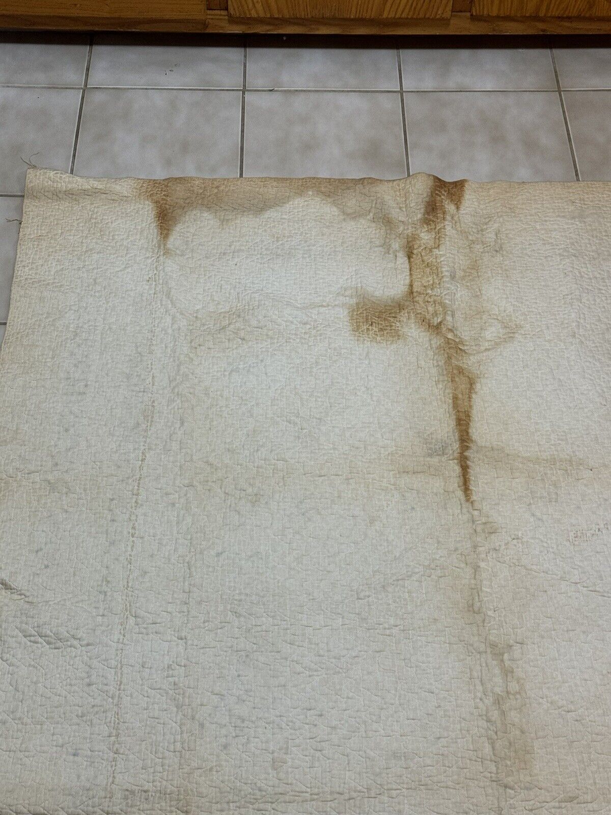 Antique Tulip Quilt by Mrs. AB Ewers