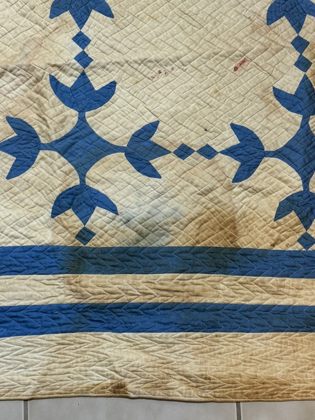 Antique Tulip Quilt by Mrs. AB Ewers