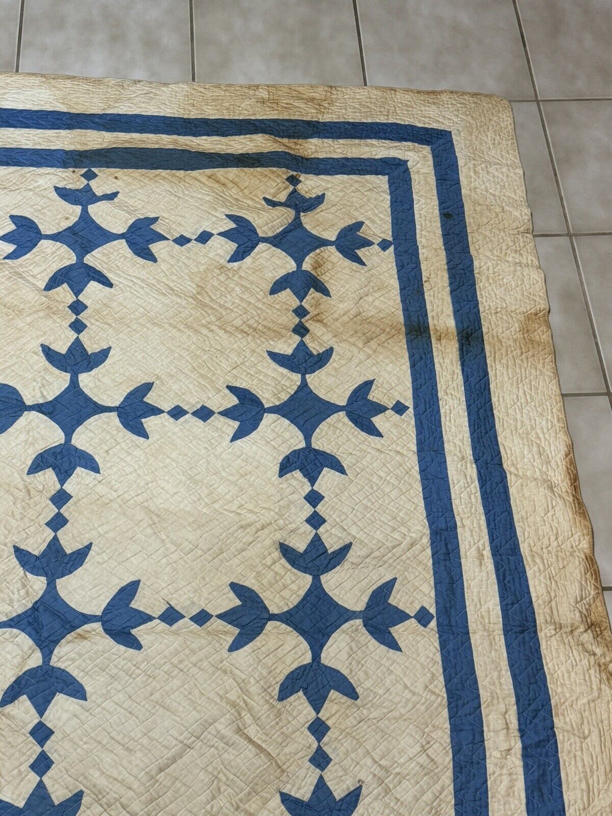 Antique Tulip Quilt by Mrs. AB Ewers