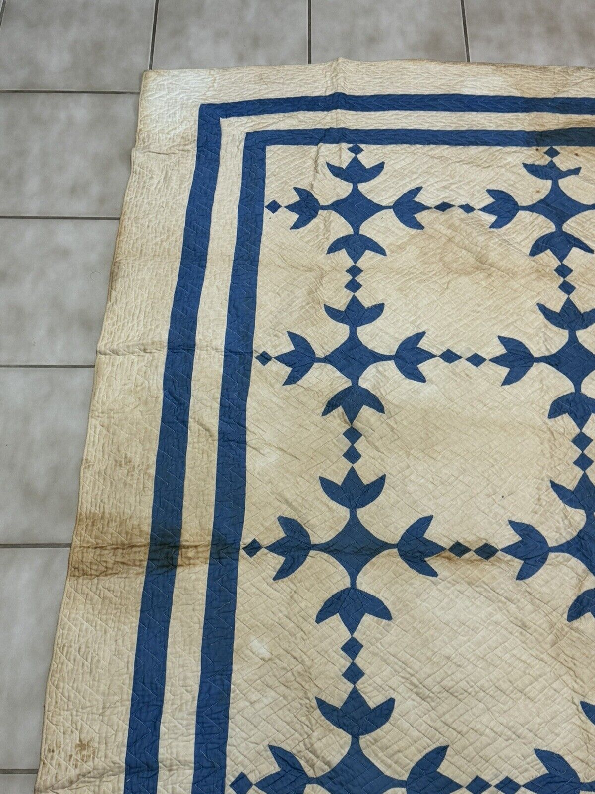 Antique Tulip Quilt by Mrs. AB Ewers
