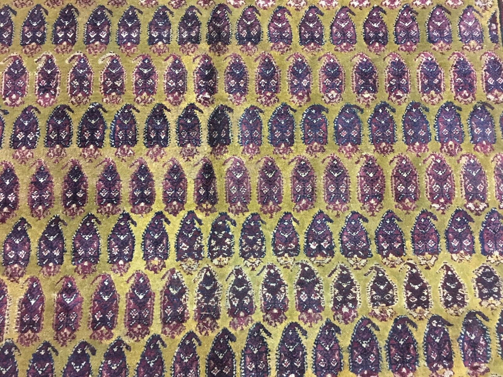 Antique Hand-Knotted 7x12 Paisley Agra Runner