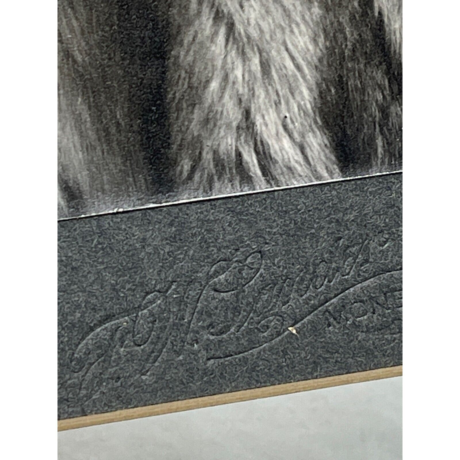 Victorian Baby Fur Rug Black White Photograph