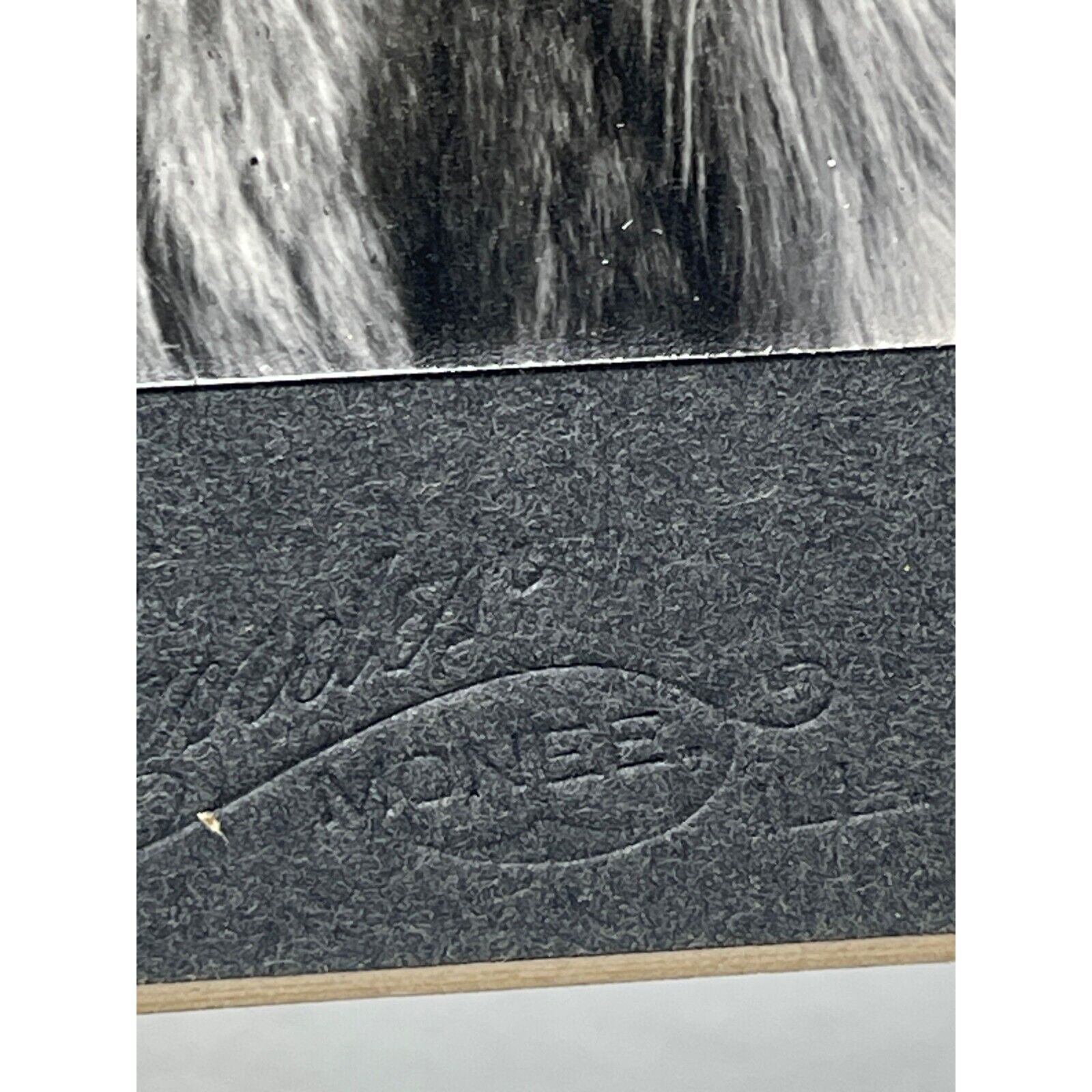 Victorian Baby Fur Rug Black White Photograph