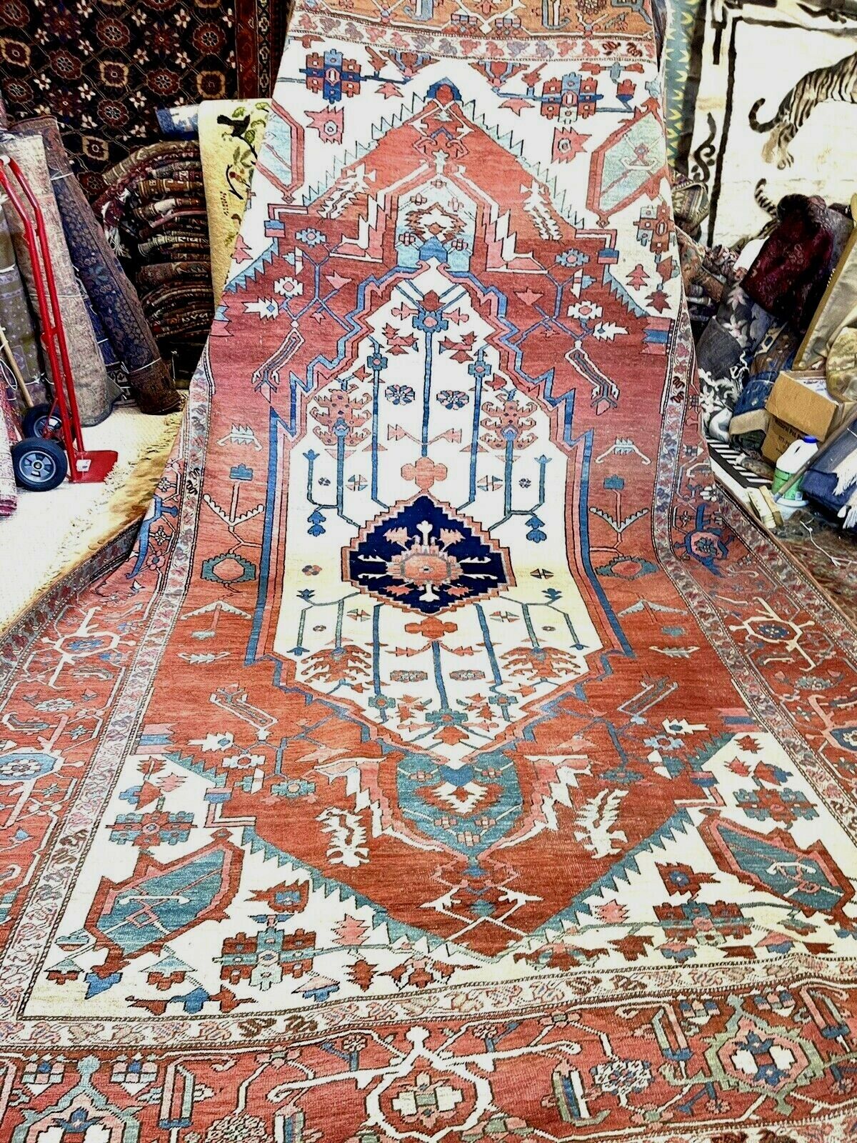 Rare 19th Century Antique Serapi Collector's Piece