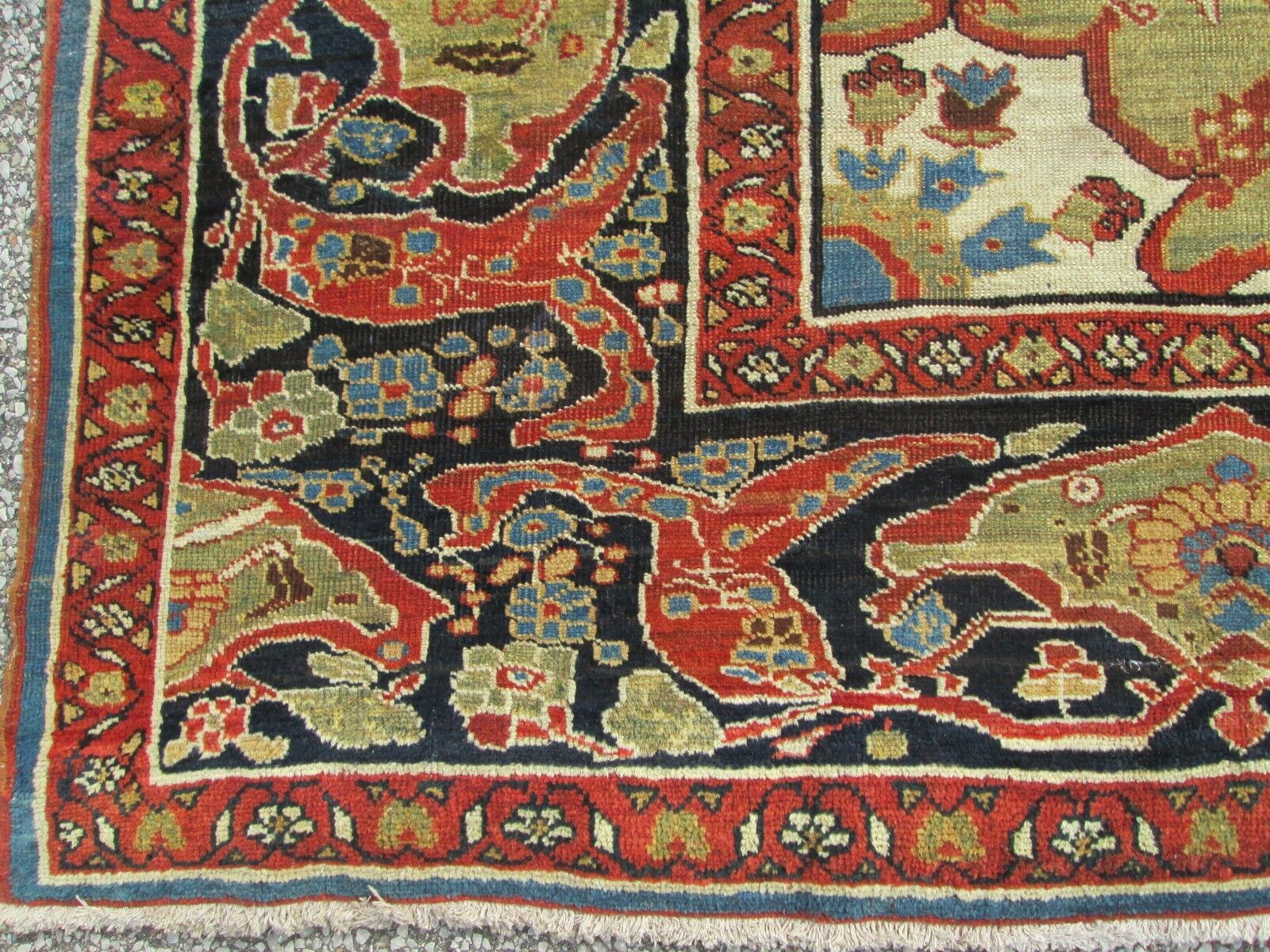 Oriental Serapi Carpet Rug 11 x 18