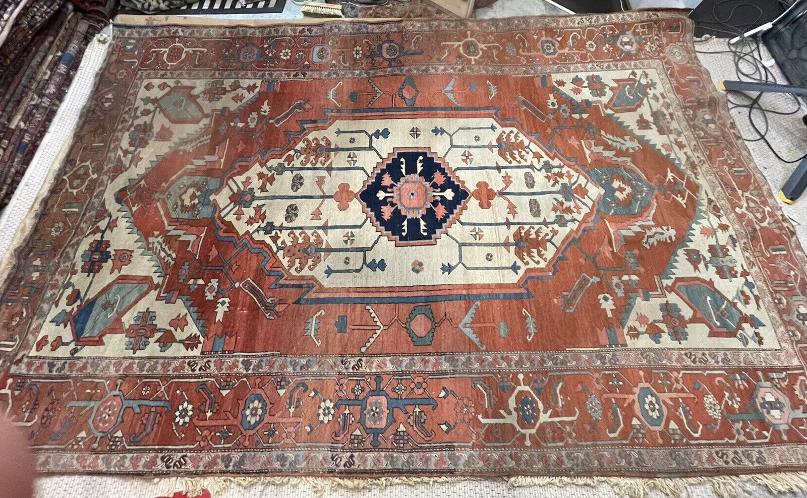 Rare 19th Century Antique Serapi Collector's Piece