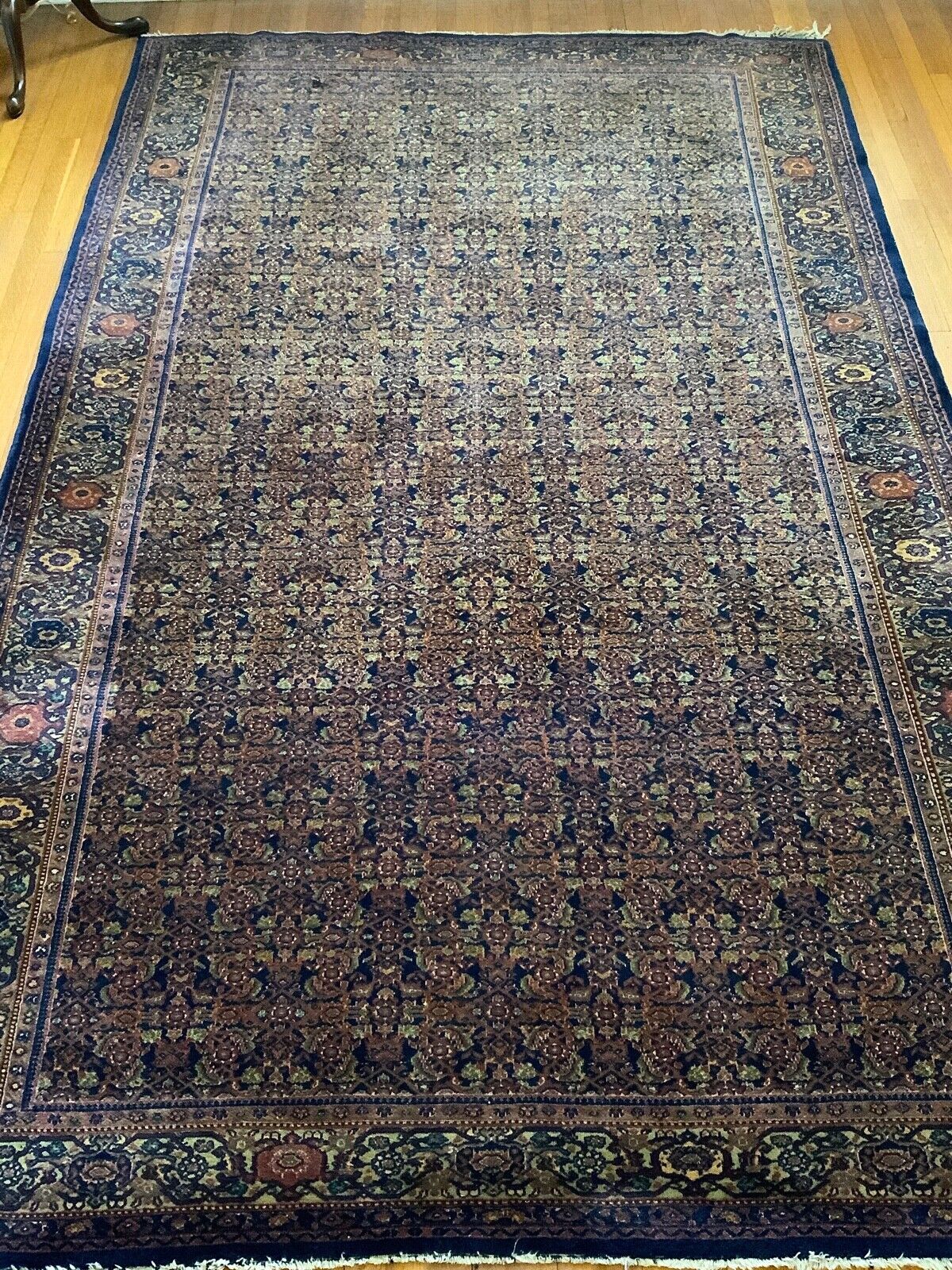 Antique Feraghan Wool Oriental Carpet, 6 x 9.3 ft