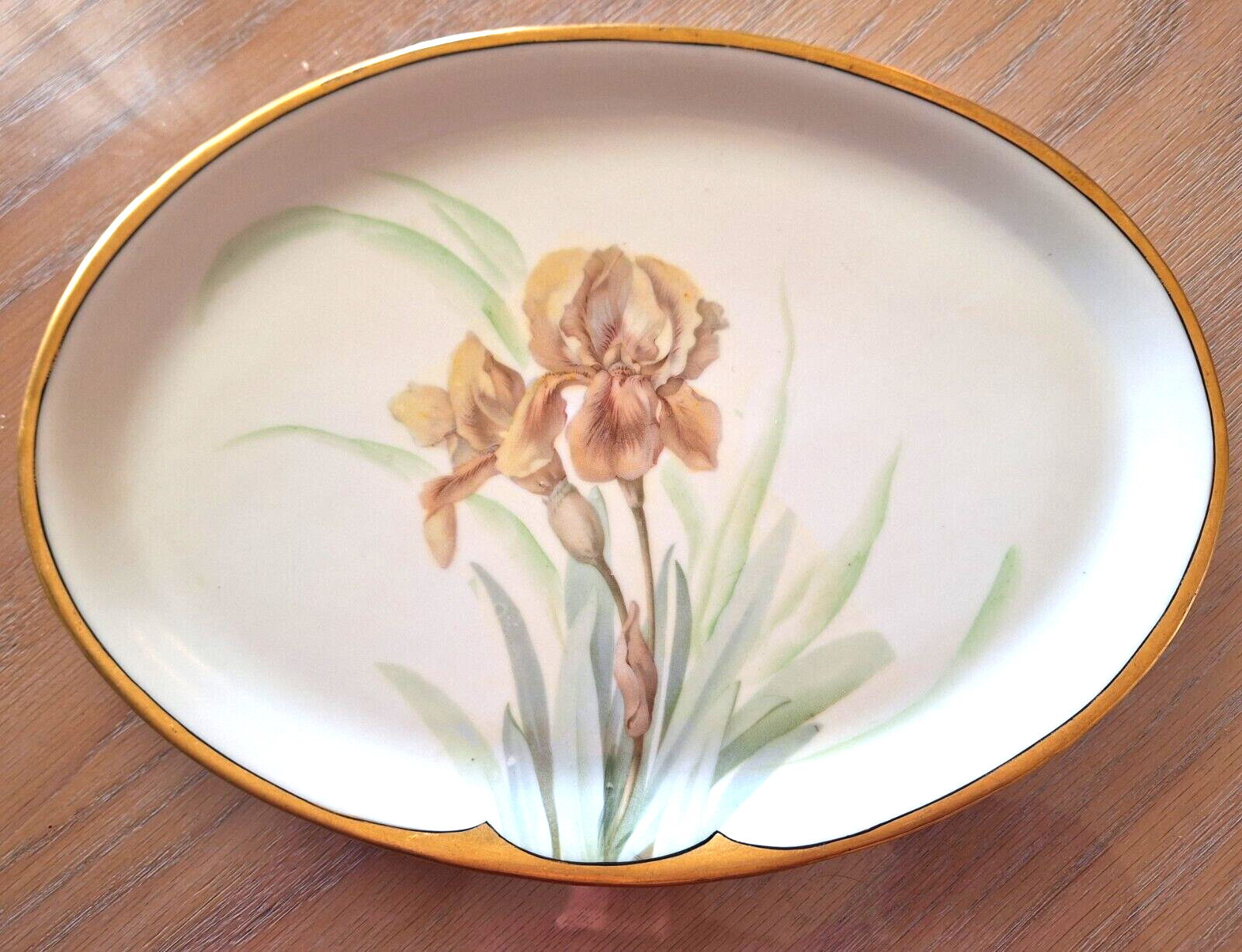Antique Prussia Porcelain Iris Vanity Tray, 1900s