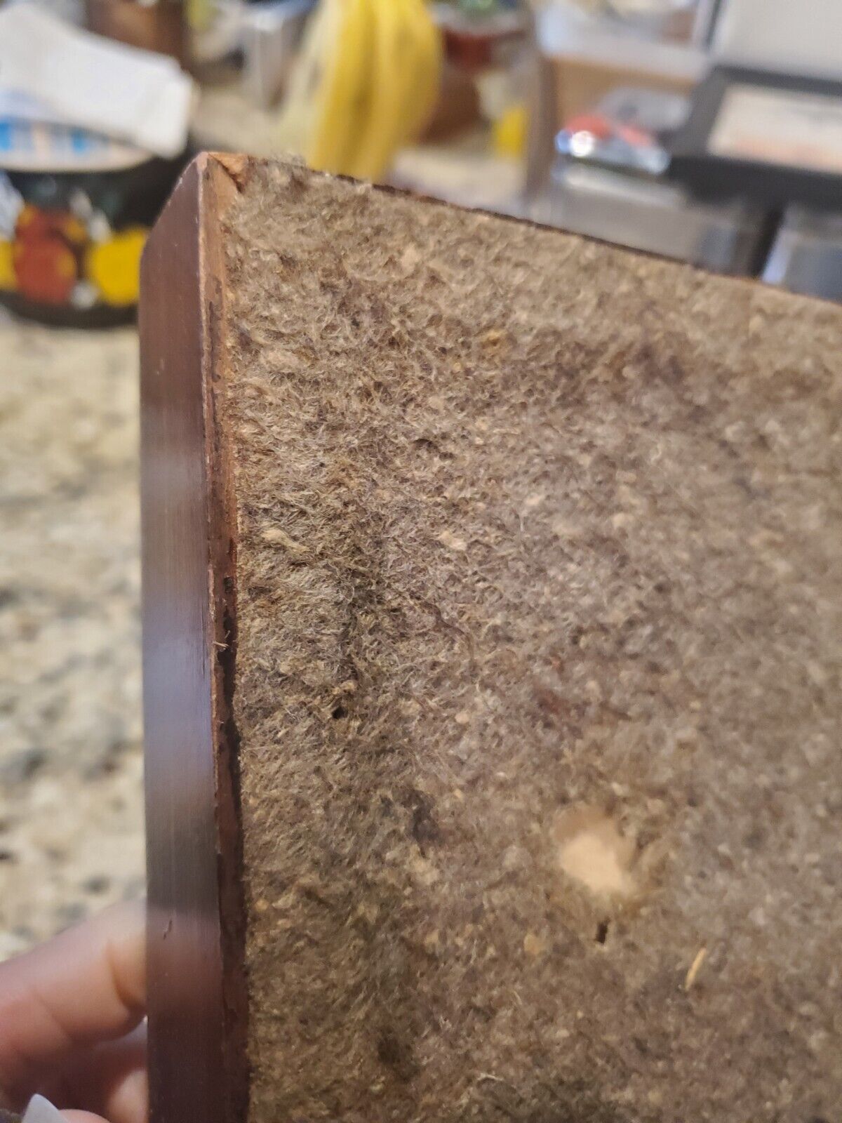 Antique 1900s Wooden Serving Tray with Glass Top