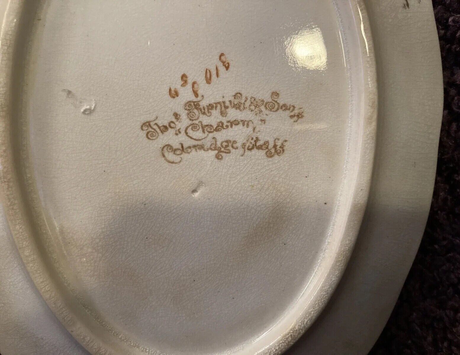 Furnival "Charm" Antique Small Serving Plate 1800s