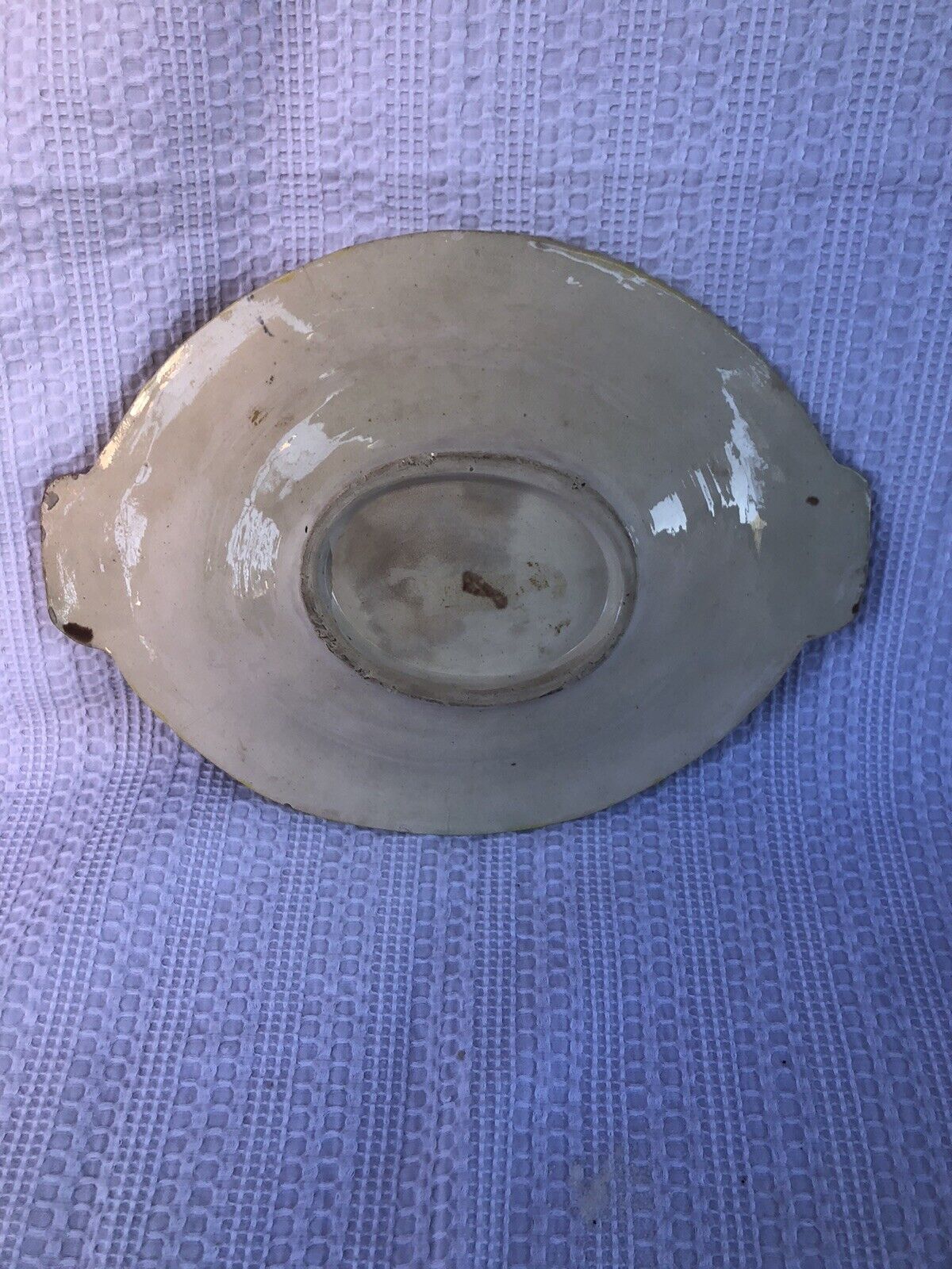 Majolica Begonia Leaf Platter with Bark Handles