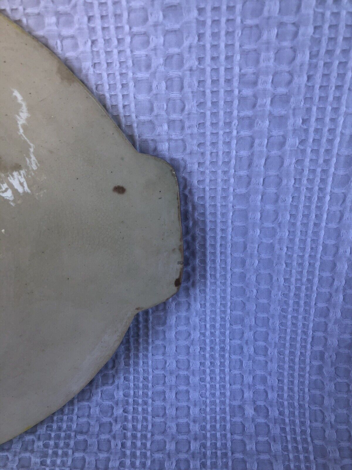 Majolica Begonia Leaf Platter with Bark Handles