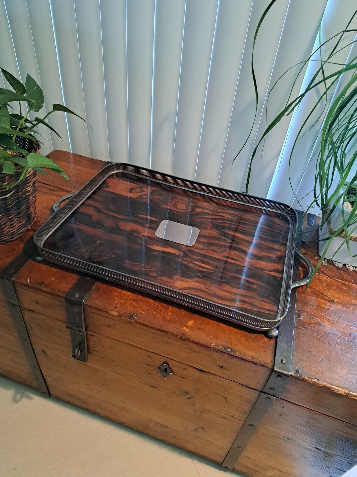 19th Century Mahogany & Silver Large Tea Tray