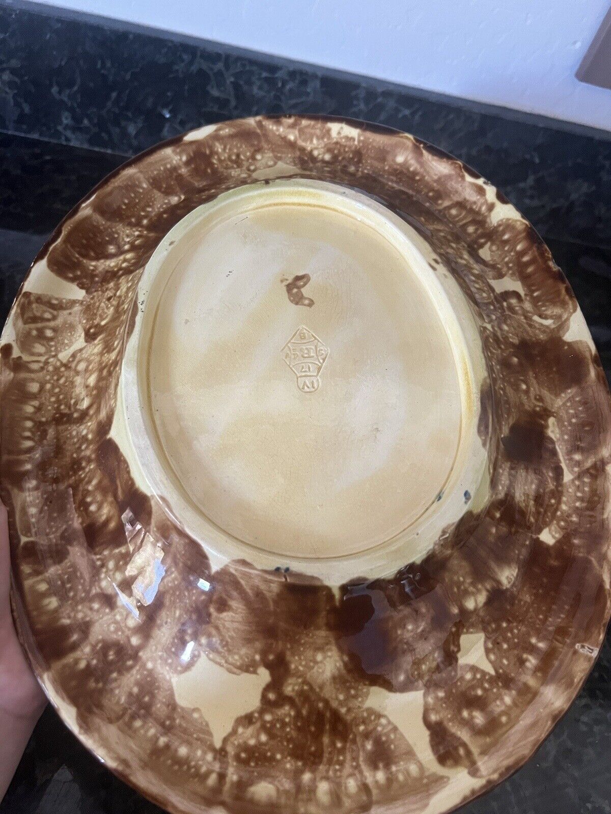 C1800s Majolica Pottery Long Tray Plate