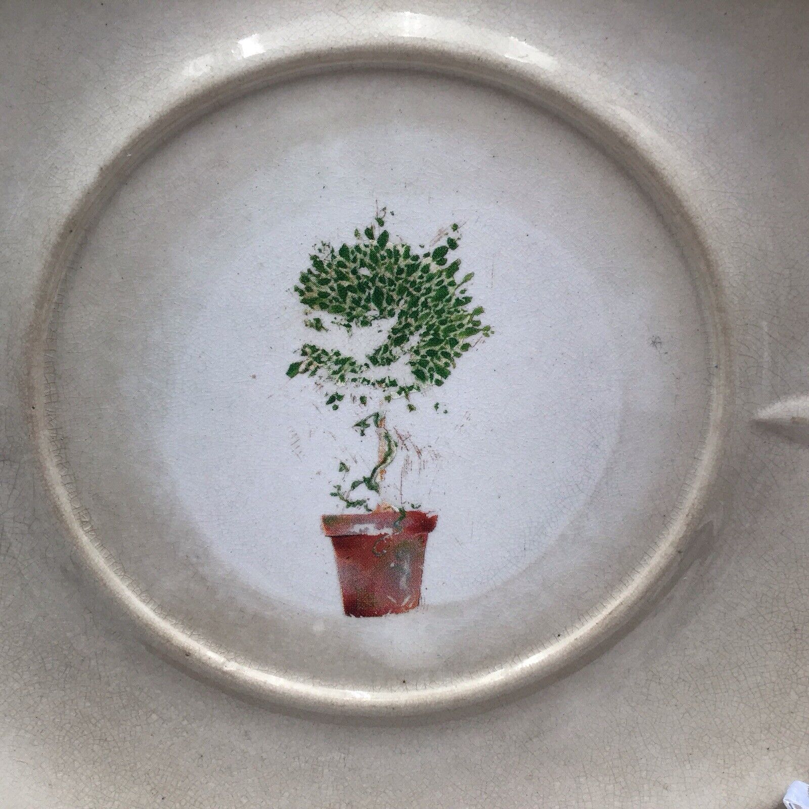 Coxon & Co 1800s Ironstone Serving Tray