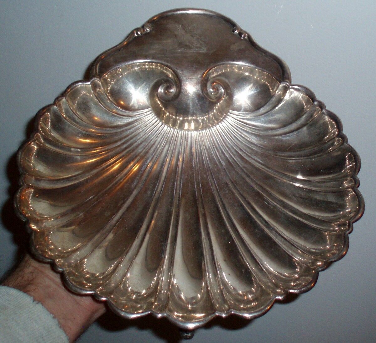 1800s Antique Shell-Shaped Fish Serving Tray
