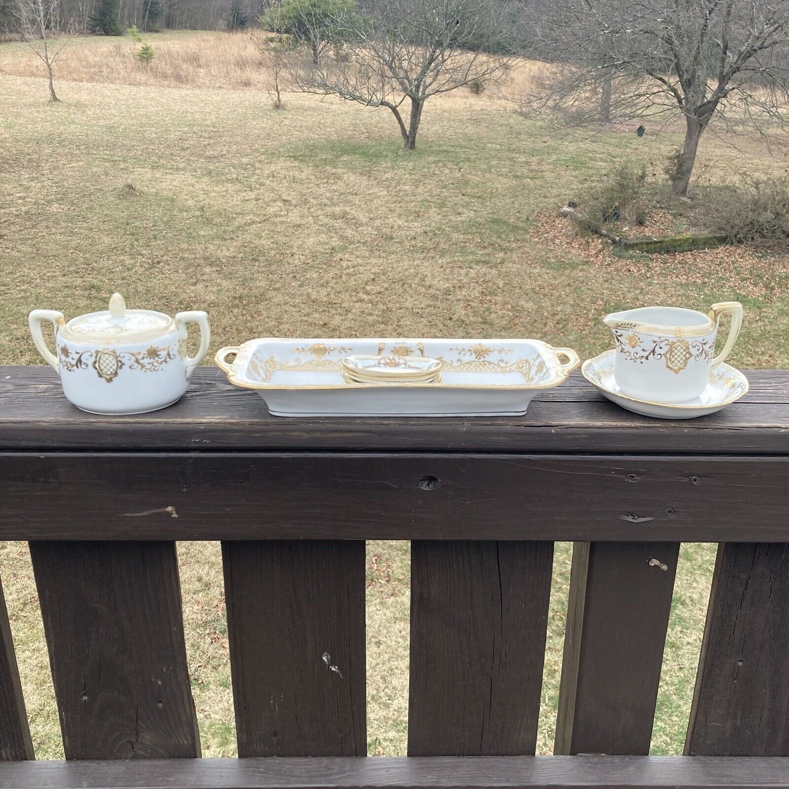 Antique 11-Piece Hand Painted Nippon Set