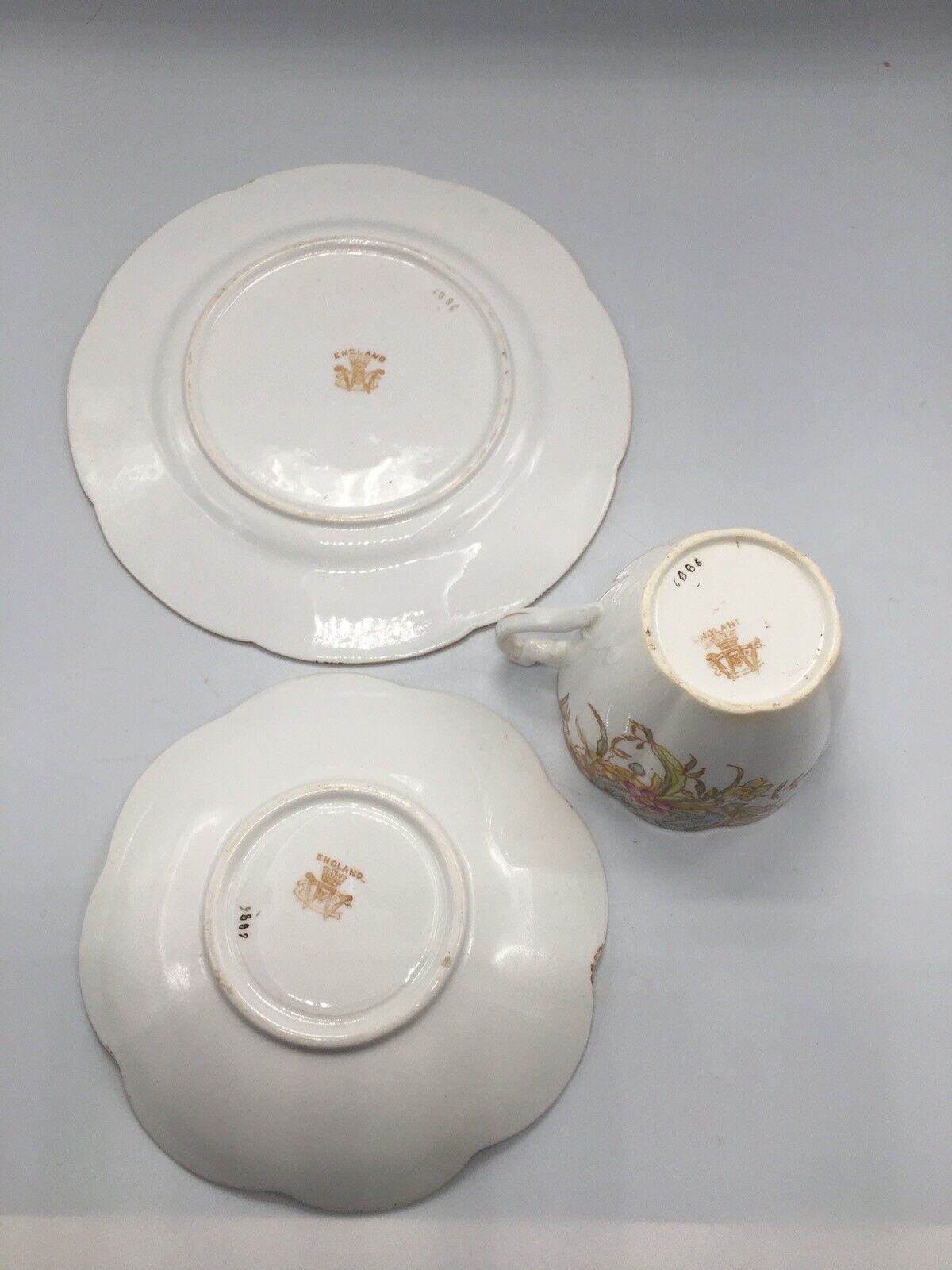 Antique Wileman Foley Kensington Lily Teacup Set